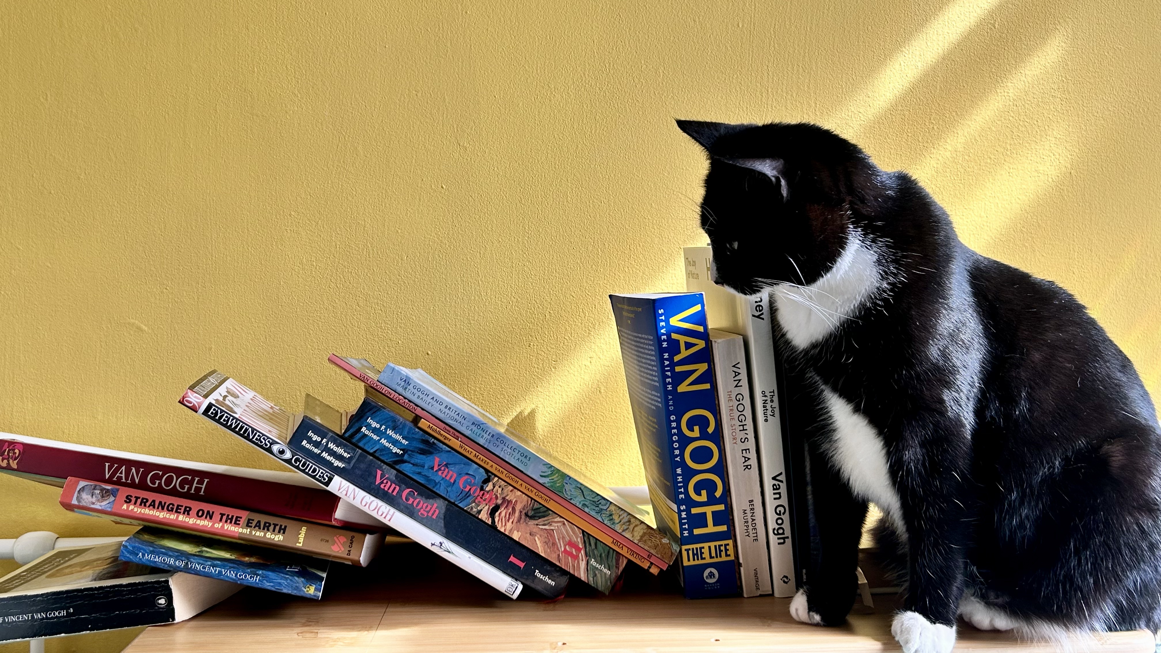 Books about Van Gogh Knocked Over Books About Van Gogh
