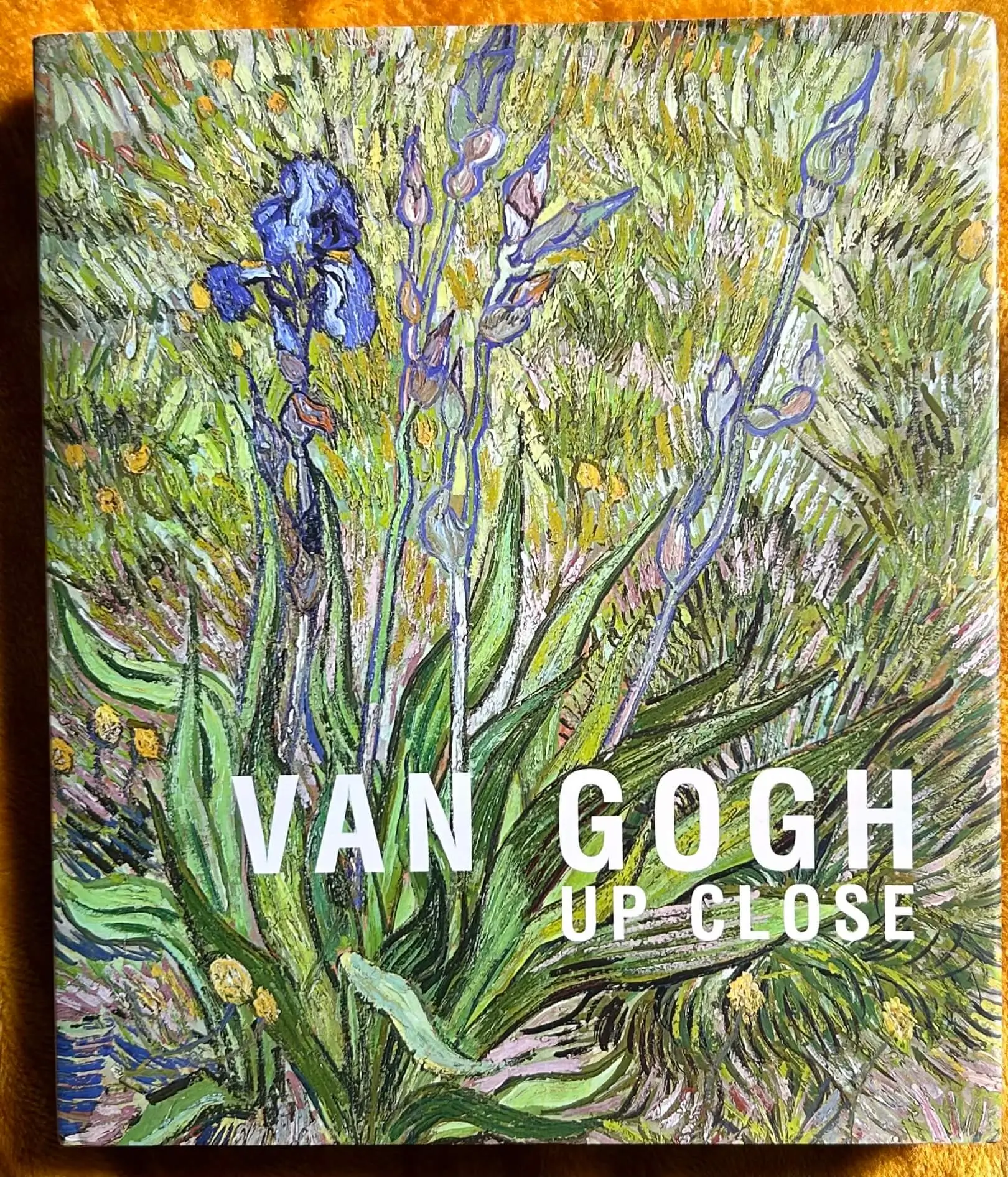Van Gogh Up Close Van Gogh Up Close Book